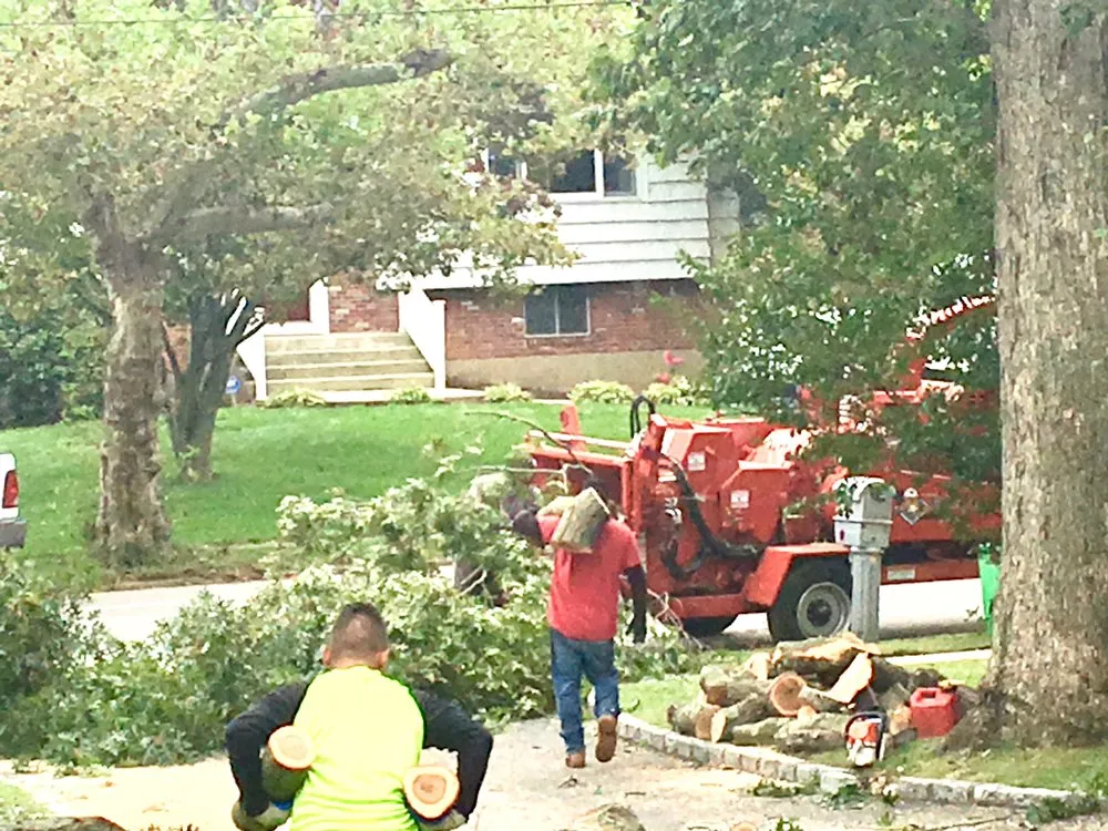 Trusted outdoor landscaping experts serving East Northport, NY - Jose M. Landscaping