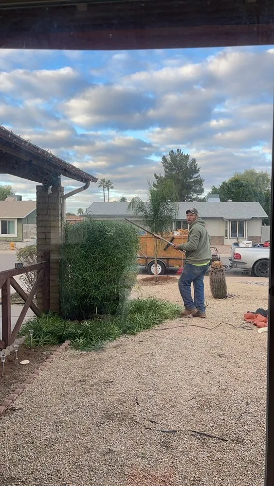 Reliable landscaping services in Chandler, AZ - Jose Marquez Landscaping