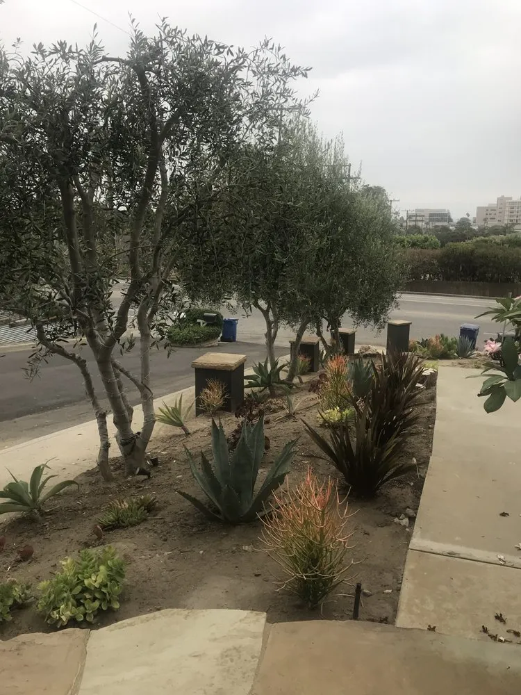 Top-rated lawn mowing service in Santa Barbara, CA by Jose Martinez Gardening Care