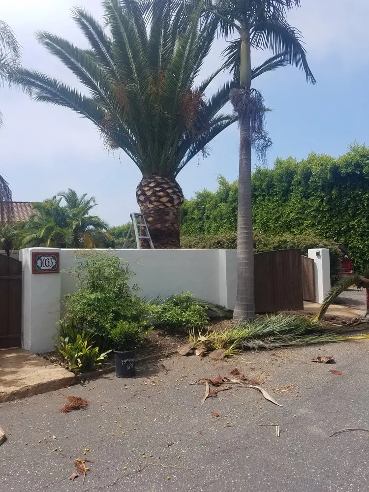 Professional residential landscaping for outdoor upgrades in Santa Barbara, CA by Jose Martinez Gardening Care