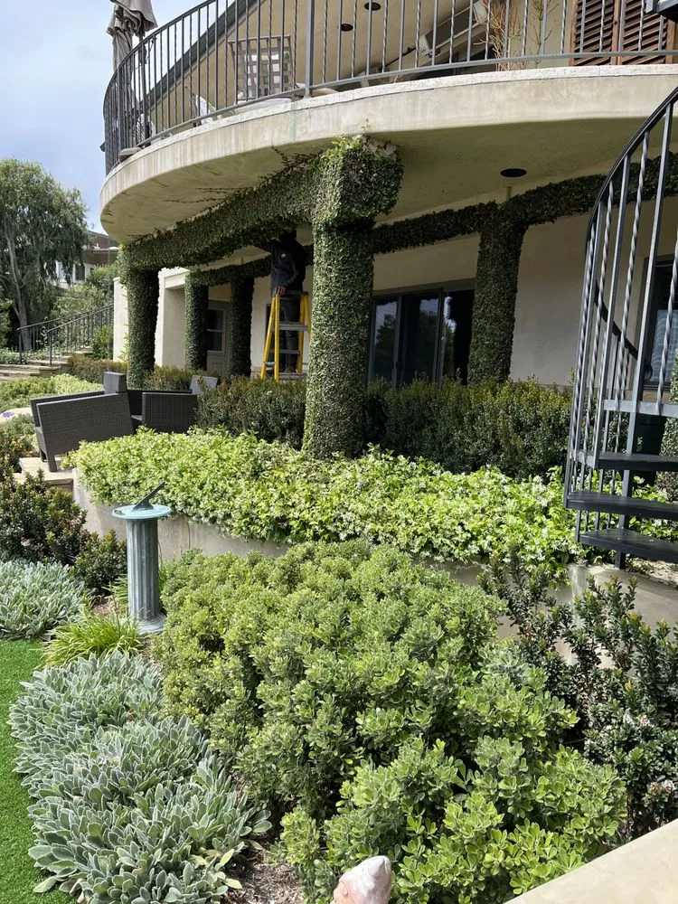 Reliable landscape installation for outdoor upgrades across Santa Barbara, CA - Jose Martinez Gardening Care