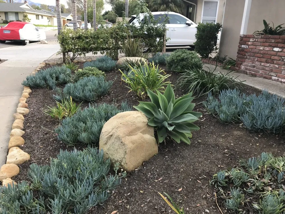 Professional lawn mowing service in Santa Barbara, CA by Jose Martinez Gardening Care