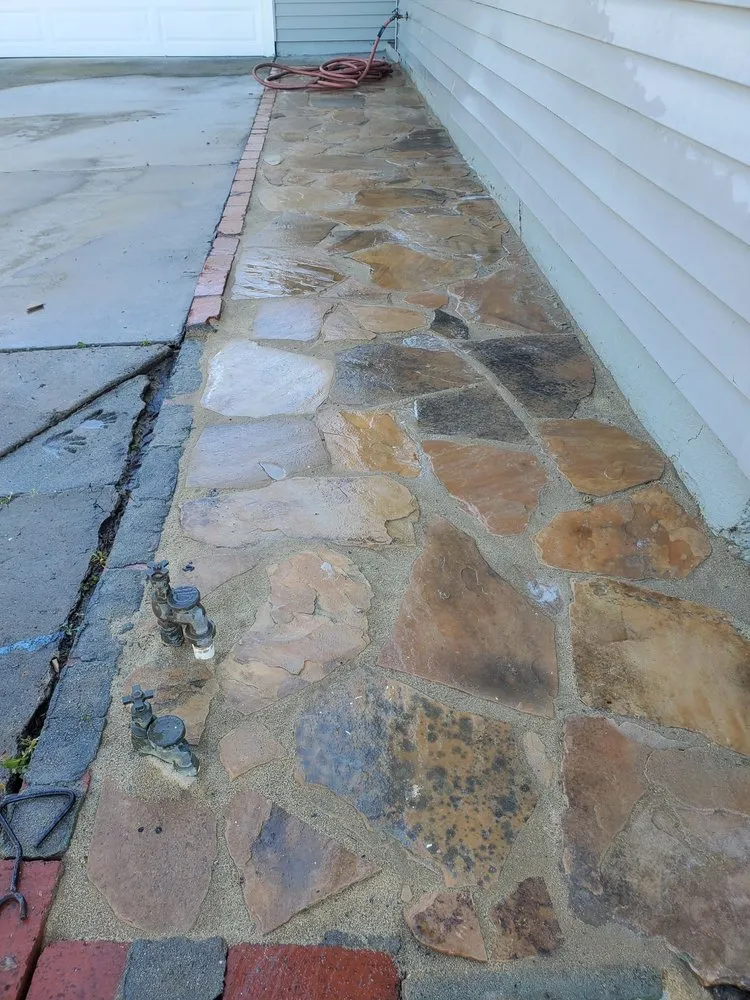 Top-rated yard maintenance in Lakeside, CA - Jose Mateo Landscaping