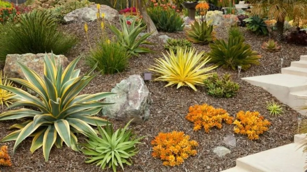 Local lawn mowing service experts serving Lakeside, CA - Jose Mateo Landscaping