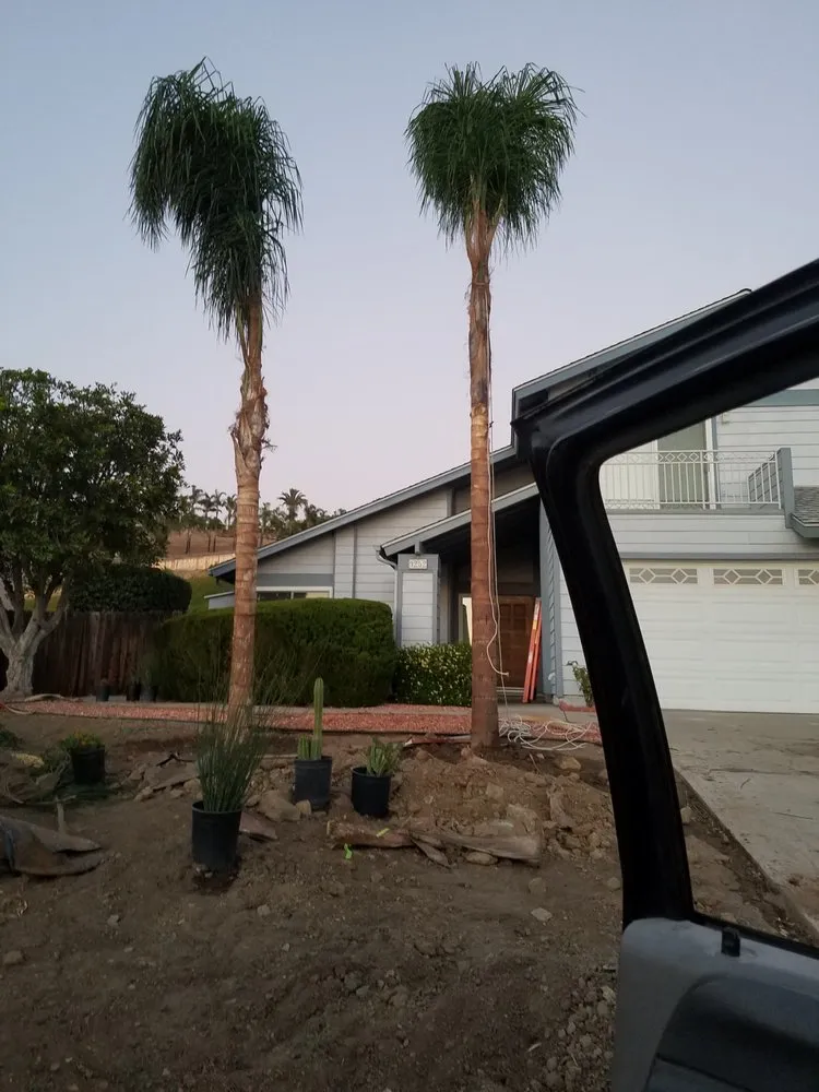 Custom residential landscaping in Lakeside, CA - Jose Mateo Landscaping