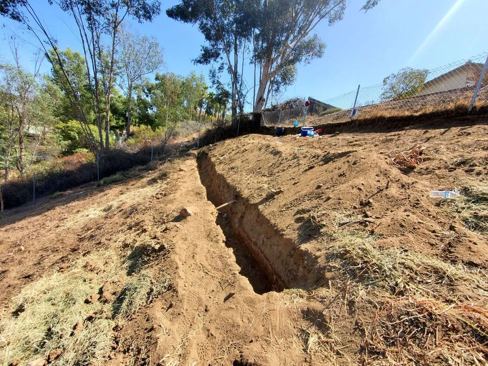 Expert landscaping services for beautiful yards across Lakeside, CA - Jose Mateo Landscaping