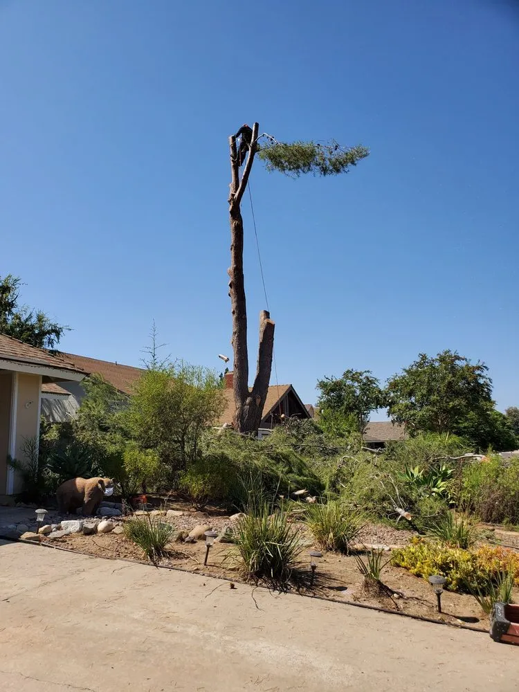 Expert lawn care service for beautiful yards in Lakeside, CA by Jose Mateo Landscaping