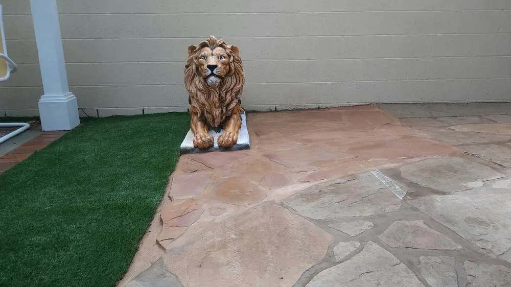 Local lawn care service near you in Ventura, CA by Jose Medina Landscaping