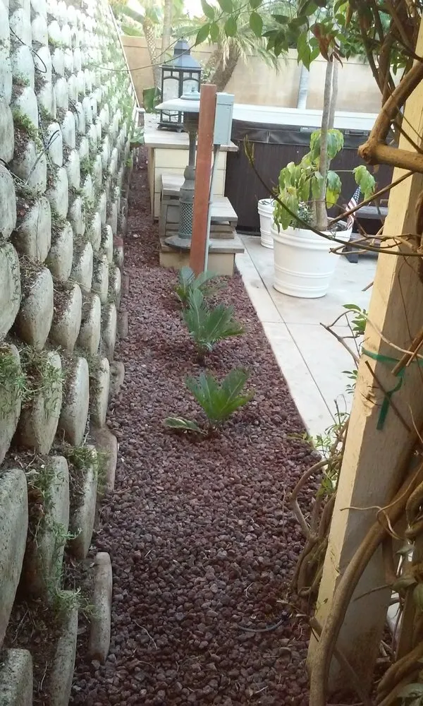 Expert landscaping services in Ventura, CA by Jose Medina Landscaping