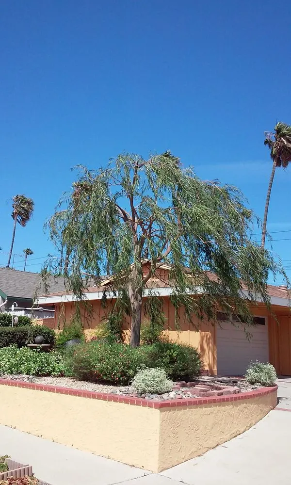 Top-rated landscape design in Ventura, CA - Jose Medina Landscaping