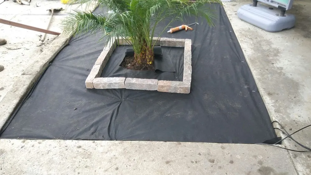 Professional yard maintenance for beautiful yards across Ventura, CA - Jose Medina Landscaping