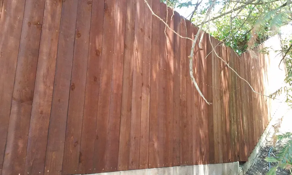 Reliable landscape installation in Ventura, CA by Jose Medina Landscaping