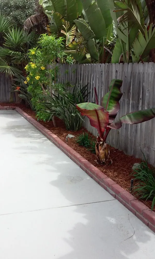 Reliable garden landscaping in Ventura, CA by Jose Medina Landscaping