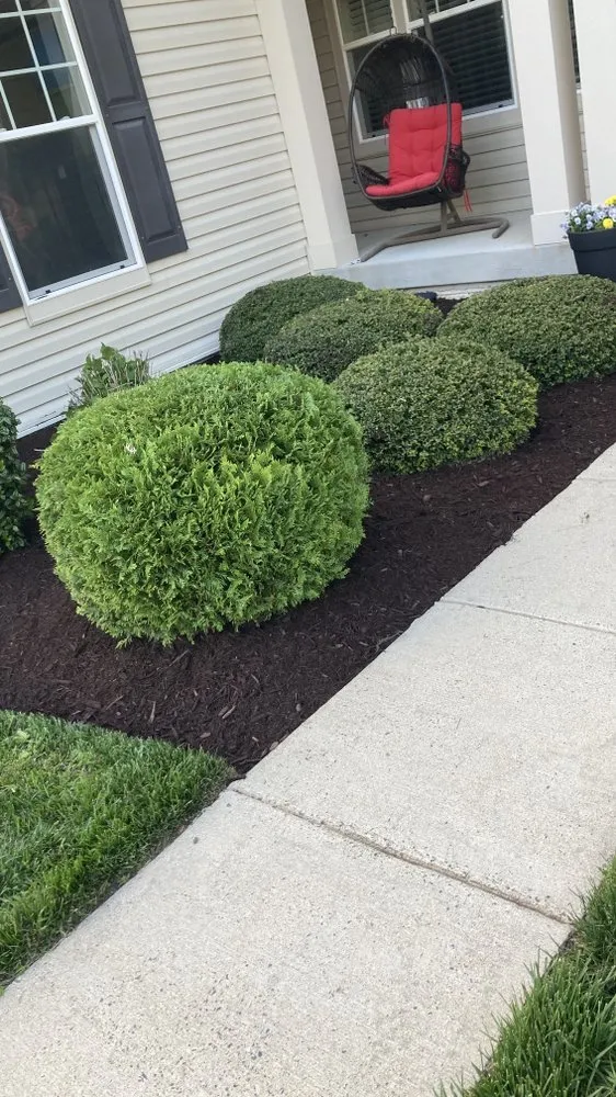 Affordable landscaping services for outdoor upgrades in Glen Burnie, MD by Jose Mendoza Landscaping