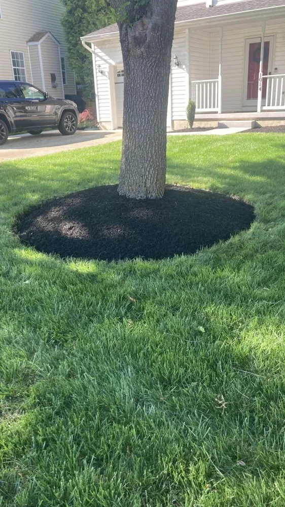 Professional landscape design experts serving Glen Burnie, MD - Jose Mendoza Landscaping