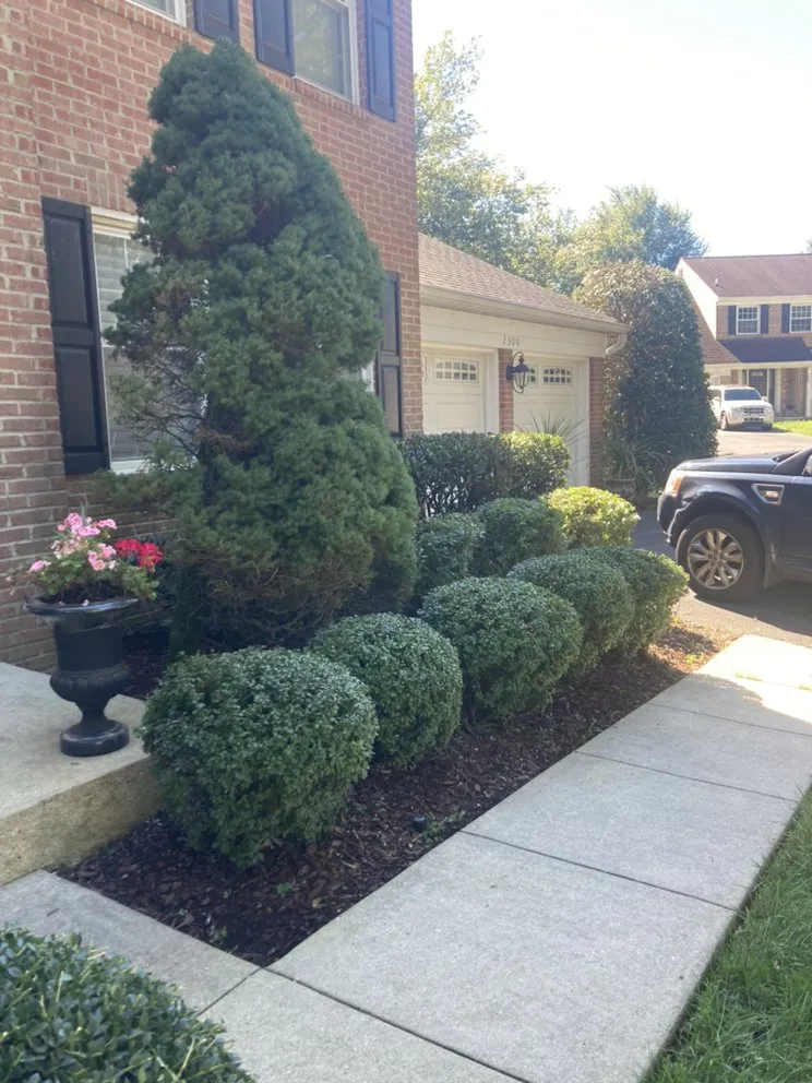 Trusted landscape design experts serving Glen Burnie, MD - Jose Mendoza Landscaping
