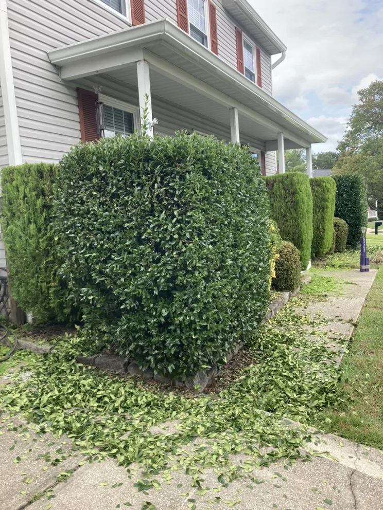 Custom lawn care service experts serving Glen Burnie, MD - Jose Mendoza Landscaping