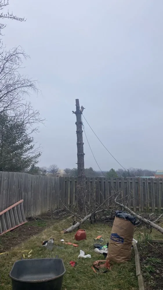 Trusted yard maintenance in Glen Burnie, MD by Jose Mendoza Landscaping