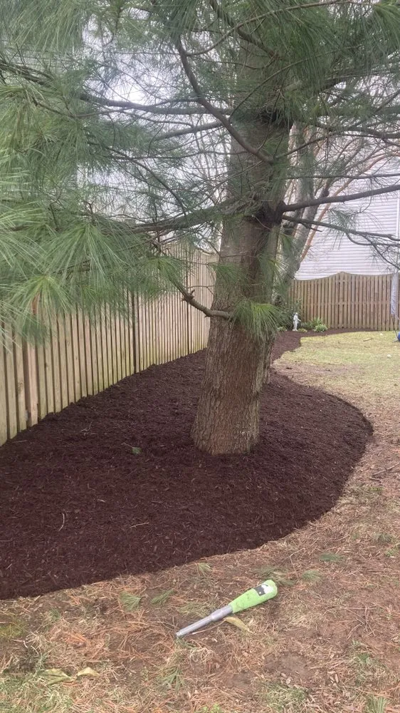Reliable landscaping services experts serving Glen Burnie, MD - Jose Mendoza Landscaping