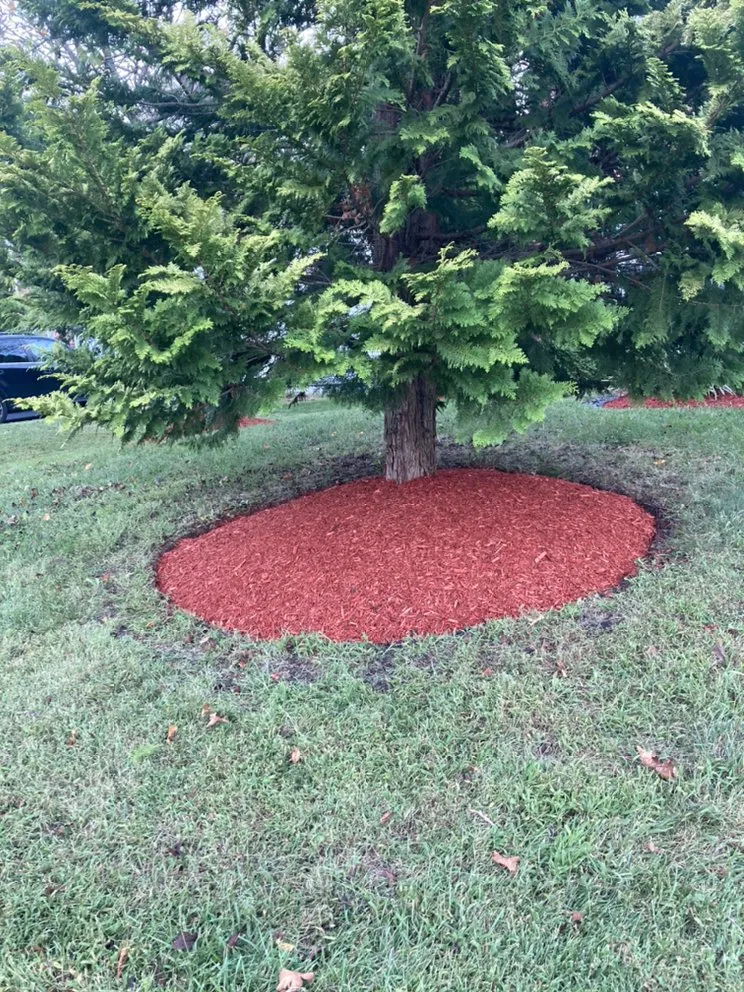 Reliable outdoor landscaping experts serving Glen Burnie, MD - Jose Mendoza Landscaping