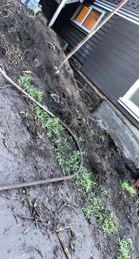 Trusted residential landscaping in Petaluma, CA by Jose Montoya Landscaping