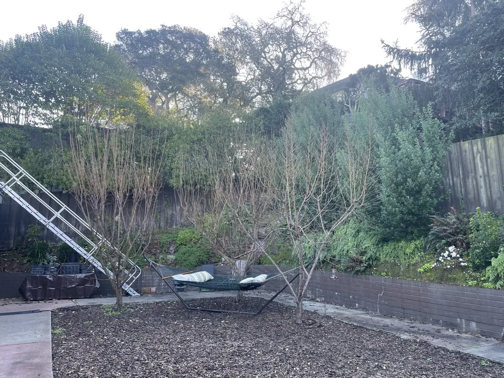 Trusted residential landscaping in Petaluma, CA by Jose Montoya Landscaping