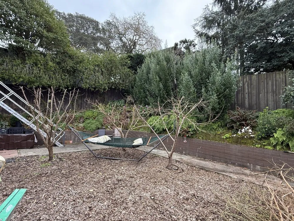 Affordable residential landscaping in Petaluma, CA by Jose Montoya Landscaping