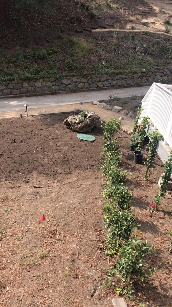 Expert yard cleanup service experts serving Petaluma, CA - Jose Montoya Landscaping