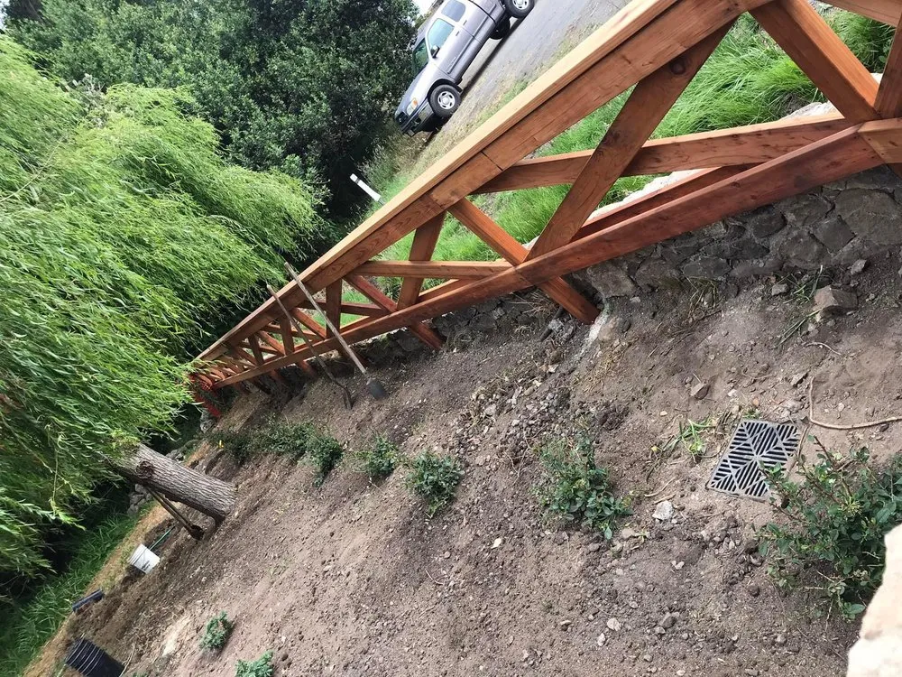 Professional yard maintenance for beautiful yards across Petaluma, CA - Jose Montoya Landscaping