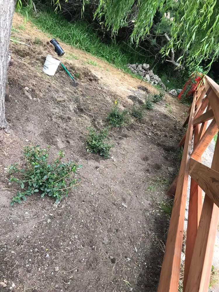 Expert outdoor landscaping in Petaluma, CA by Jose Montoya Landscaping