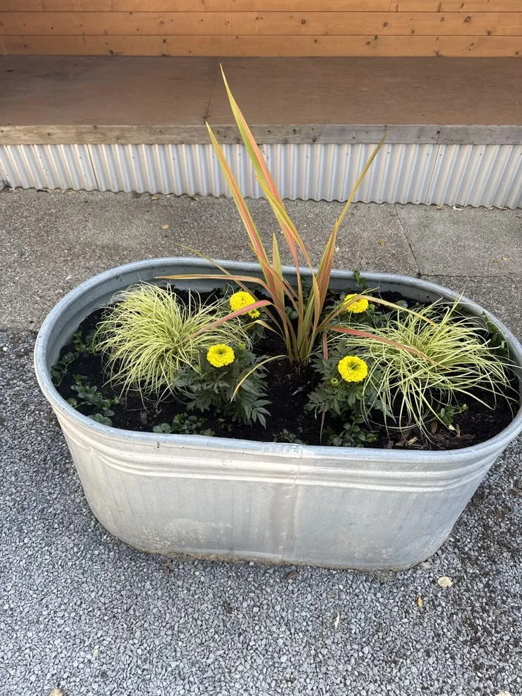 Trusted residential landscaping for outdoor upgrades in Petaluma, CA by Jose Montoya Landscaping