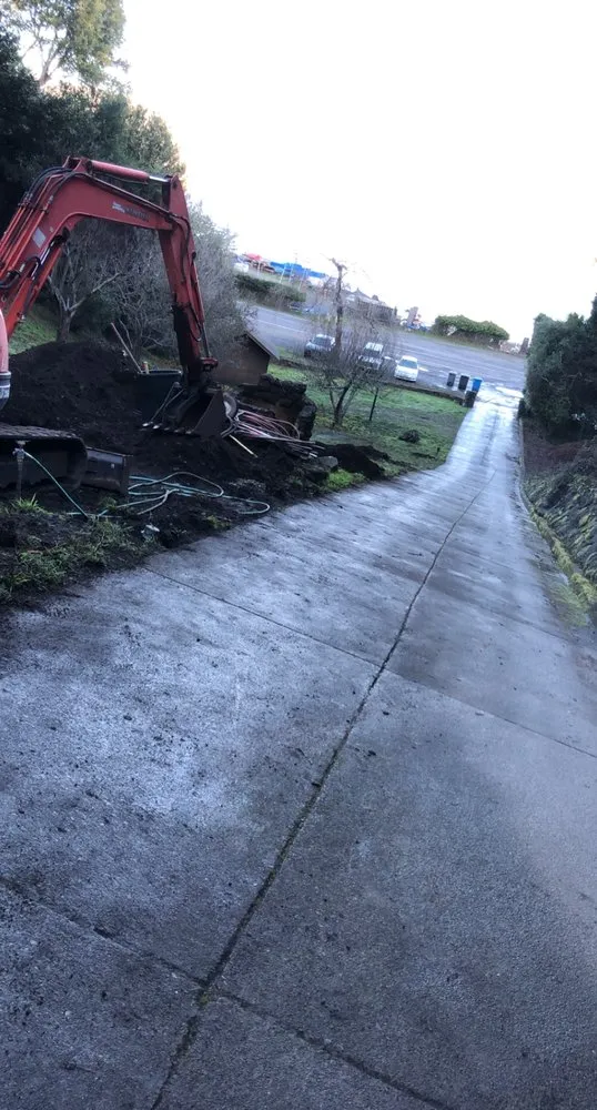 Trusted lawn care service in Petaluma, CA - Jose Montoya Landscaping