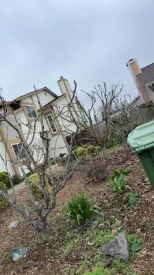 Jose Montoya Landscaping Logo