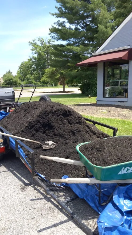 Trusted yard maintenance for beautiful yards across Jeffersonville, IN - Jose Morales General Work