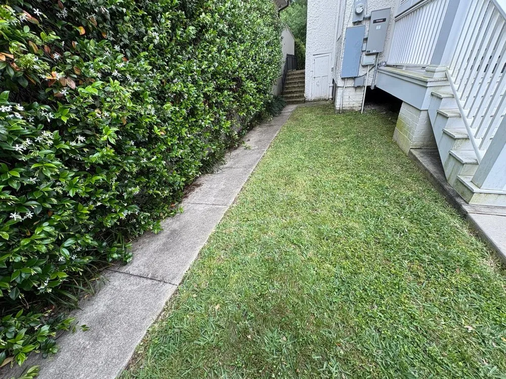 Trusted lawn mowing service in River Ridge, LA - Jose Nola Landscaping