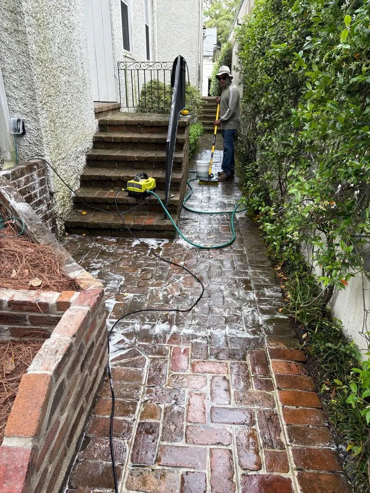 Affordable landscape installation for outdoor upgrades across River Ridge, LA - Jose Nola Landscaping