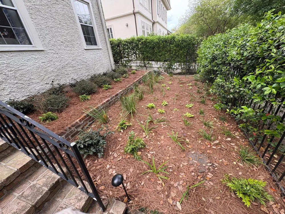 Custom residential landscaping in River Ridge, LA by Jose Nola Landscaping