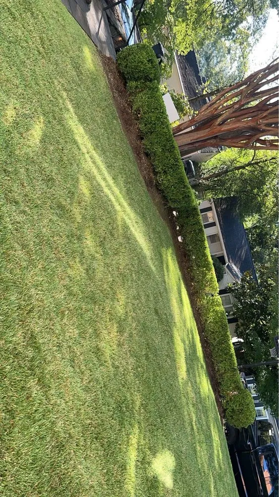 Top-rated outdoor landscaping experts serving Hoover, AL - Jose Nunez Landscaping