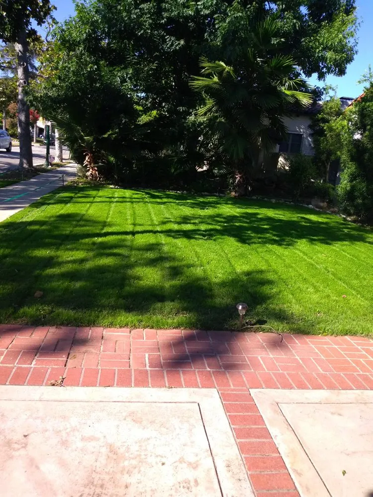 Affordable yard cleanup service in Compton, CA - Jose Padilla’s Gardening Service