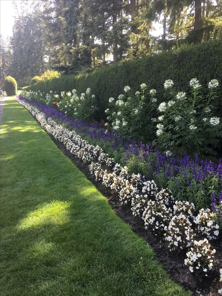 Affordable yard cleanup service near you in Westbury, NY by Jose Perez Landscaping