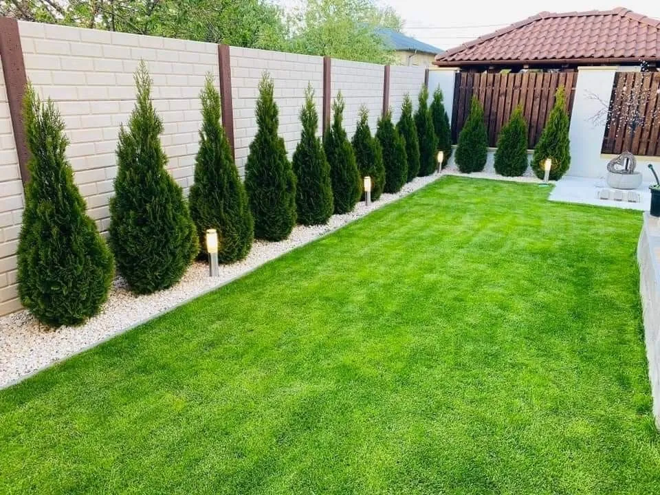Top-rated lawn care service in Westbury, NY by Jose Perez Landscaping