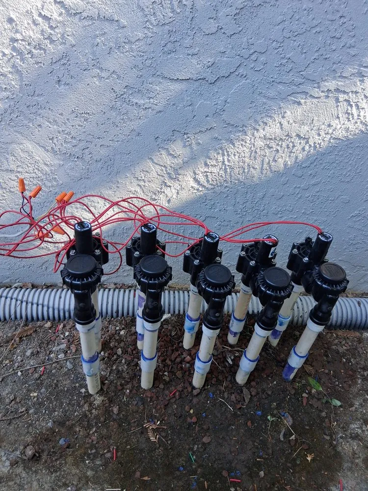 Expert landscaping services experts serving Antioch, CA - Jose Pineda