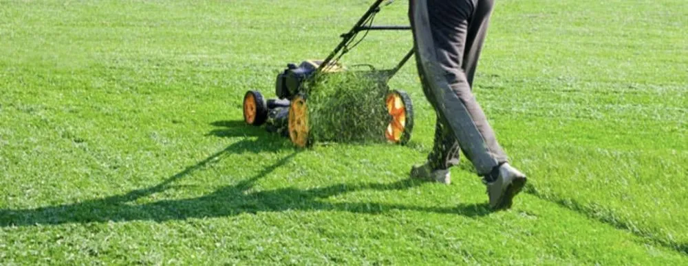Reliable lawn mowing service for residential properties across Albuquerque New Mexico, NM - Jose Quavo Lawn Care and Laborer Work