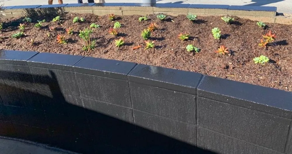 Trusted garden landscaping experts serving Los Angeles, CA - Jose Quinteros Landscaping