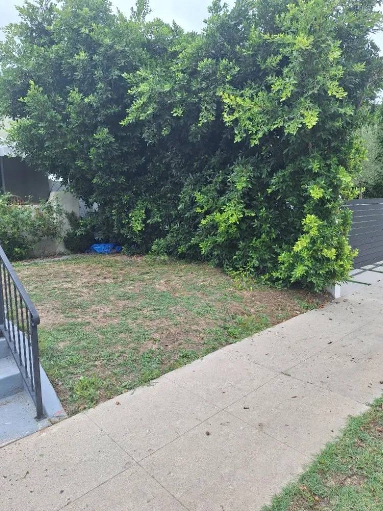 Custom garden landscaping for outdoor upgrades in Los Angeles, CA by Jose Quinteros Landscaping