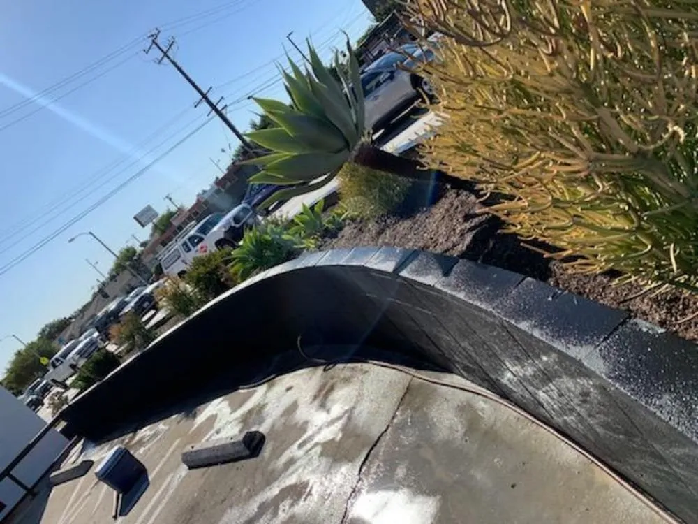 Local residential landscaping in Los Angeles, CA - Jose Quinteros Landscaping