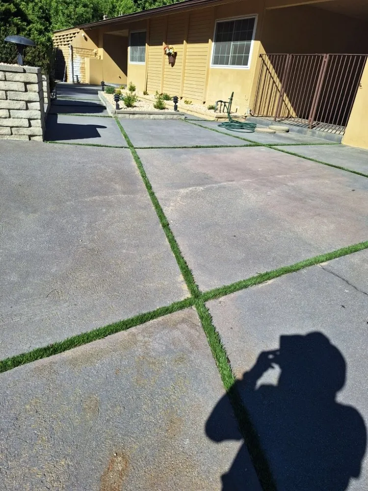 Reliable outdoor landscaping in Los Angeles, CA by Jose Quinteros Landscaping