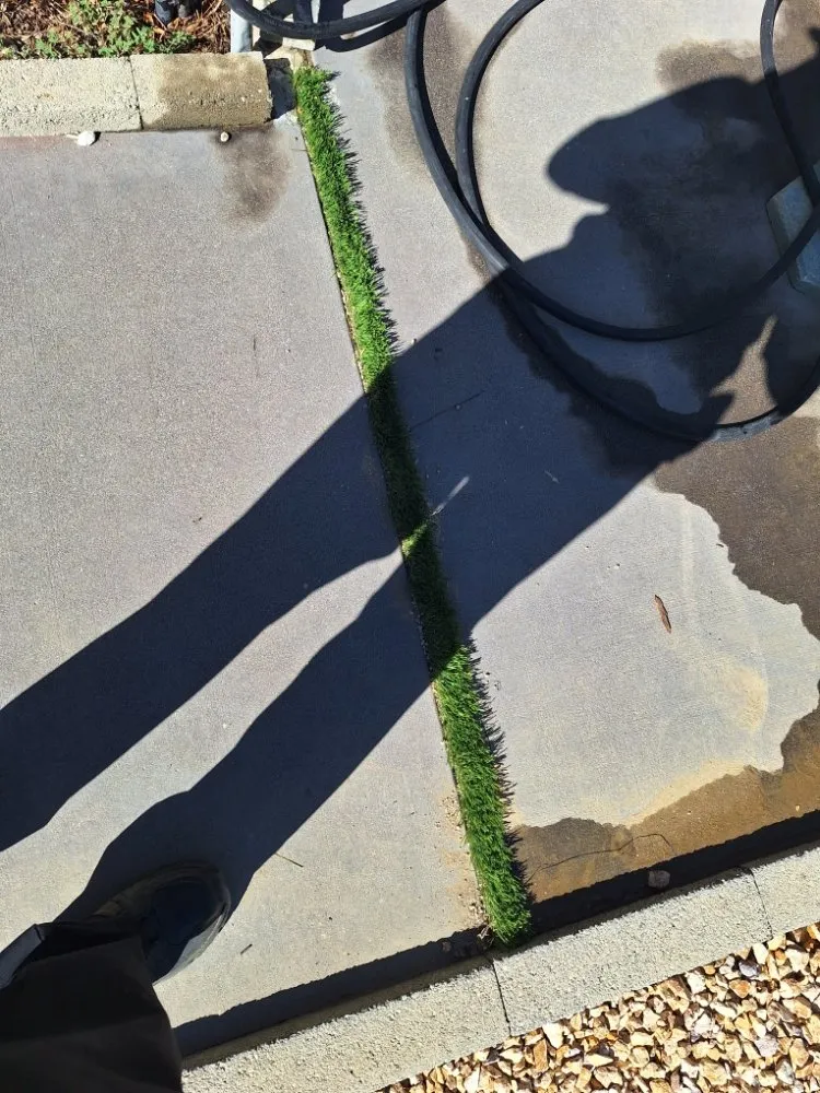 Affordable landscape design in Los Angeles, CA - Jose Quinteros Landscaping