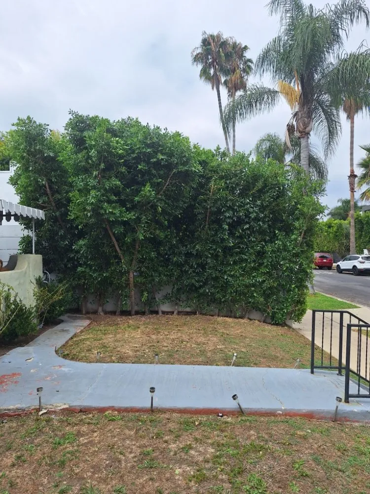 Expert landscape design near you across Los Angeles, CA - Jose Quinteros Landscaping