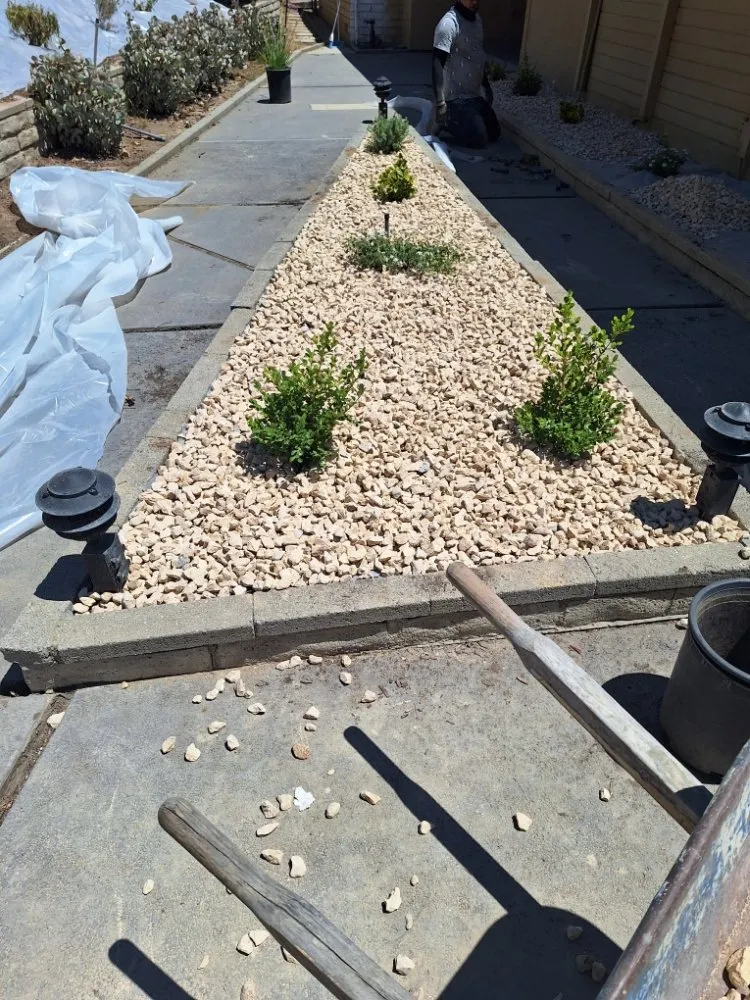 Affordable yard cleanup service near you across Los Angeles, CA - Jose Quinteros Landscaping